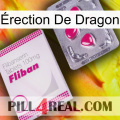 Érection De Dragon 32